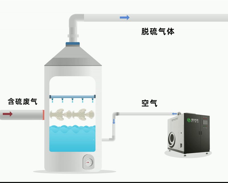 ezgif.com-gif-maker (11).gif