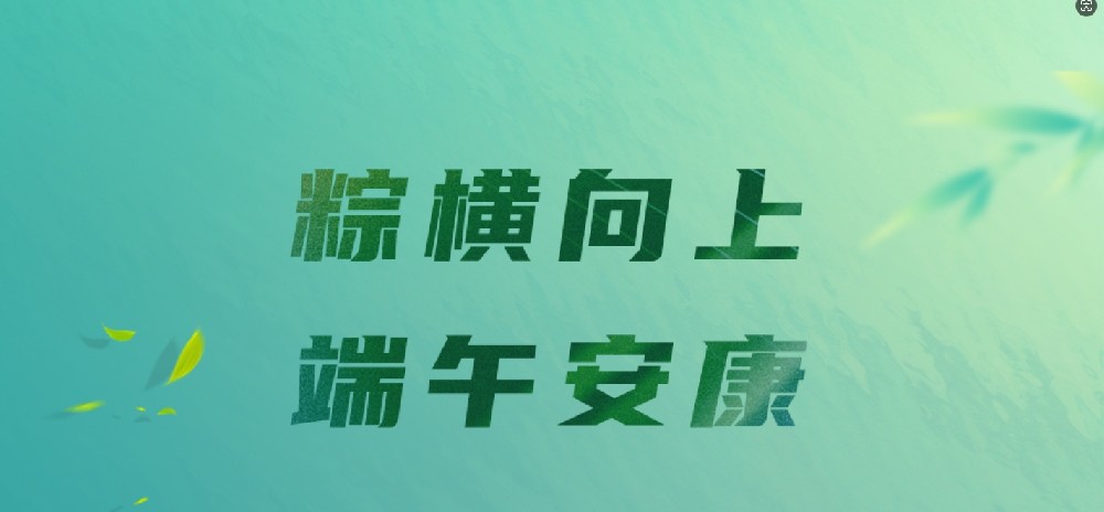 端午節丨粽橫向上，端午安康